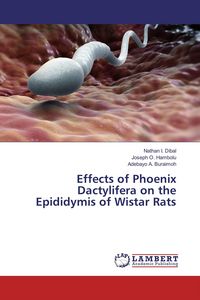 Produktbild: Effects of Phoenix Dactylifera on the Epididymis of Wistar Rats