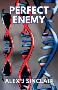Produktbild: Perfect Enemy