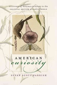 Produktbild: American Curiosity