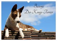 Produktbild: Basenji, der Kongo-Terrier (Wandkalender 2026 DIN A3 quer), CALVENDO Monatskalender