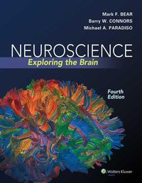 Bild vom Artikel Neuroscience: Exploring the Brain vom Autor Mark Bear