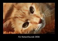 Produktbild: F&uuml;r Katzenfreunde 2026 Fotokalender DIN A3