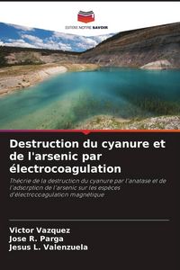 Produktbild: Destruction du cyanure et de l'arsenic par &eacute;lectrocoagulation