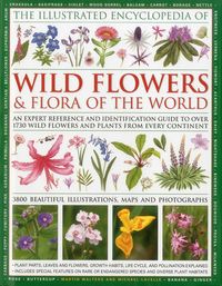 Produktbild: Illustrated Encyclopedia of Wild Flowers & Flora of the World