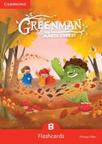 Produktbild: Miller, M: Greenman and the Magic Forest B Flashcards (Pack
