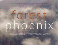 Produktbild: Forest Phoenix