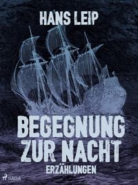 Produktbild: Begegnung zur Nacht