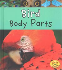 Produktbild: Bird Body Parts