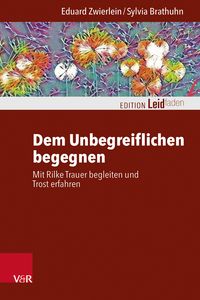 Produktbild: Dem Unbegreiflichen begegnen