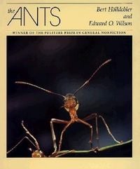 Produktbild: The Ants