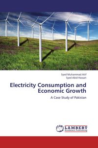 Produktbild: Electricity Consumption and Economic Growth