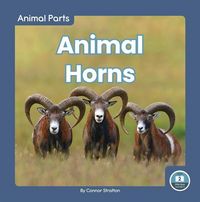 Produktbild: Animal Horns