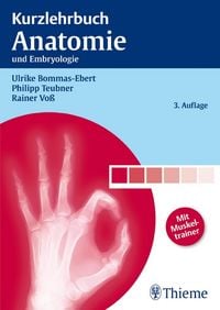 Produktbild: Kurzlehrbuch Anatomie