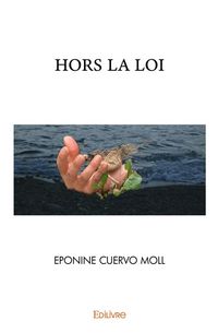 Produktbild: Hors la loi