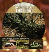 Produktbild: The Ecosystem of a Fallen Tree