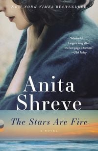 Bild vom Artikel The Stars Are Fire vom Autor Anita Shreve