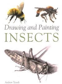 Produktbild: Drawing and Painting Insects