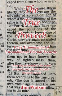 Produktbild: The True Proverb - A Lay Examination of Unconditional Eternal Security