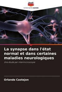 Produktbild: La synapse dans l'&eacute;tat normal et dans certaines maladies neurologiques