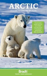 Produktbild: Arctic