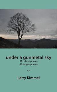 Produktbild: Under a gunmetal sky