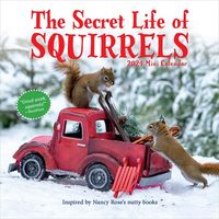 Produktbild: Workman Calendars: Secret Life of Squirrels Mini Calendar 20