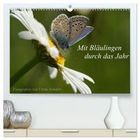 Produktbild: Mit Bl&auml;ulingen durch das Jahr (hochwertiger Premium Wandkalender 2026 DIN A2 quer), Kunstdruck in Hochglanz