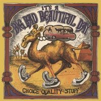 Produktbild: Choice Quality Stuff (Orange/Black Sunburst Vinyl)
