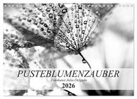 Produktbild: Pusteblumenzauber in schwarzwei&szlig; (Wandkalender 2026 DIN A4 quer), CALVENDO Monatskalender