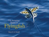 Produktbild: Amazing World of Flyingfish