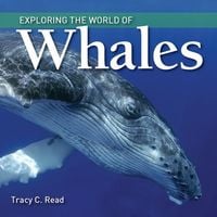 Produktbild: Exploring the World of Whales