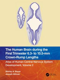 Produktbild: The Human Brain during the First Trimester 6.3- to 10.5-mm Crown-Rump Lengths
