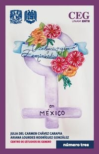 Produktbild: Violencia de G&eacute;nero y Feminicidios en M&eacute;xico