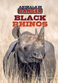 Produktbild: Black Rhinos