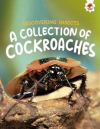 Produktbild: Discovering Insects: A Collection of Cockroaches