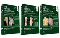 Produktbild: The Netter Collection of Medical Illustrations: Musculoskele