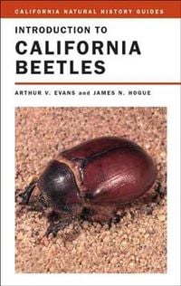 Produktbild: Intro To California Beetles