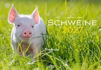 Produktbild: Schweine Kalender 2027