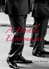 Produktbild: A Hostile Environment