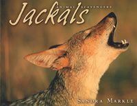 Produktbild: Markle, S: Jackals