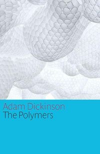 Produktbild: The Polymers