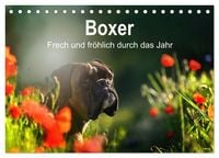 Produktbild: Boxer Frech und fr&ouml;hlich durch das Jahr (Tischkalender 2027 DIN A5 quer), CALVENDO Monatskalender