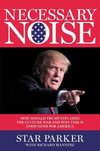 Produktbild: Necessary Noise