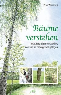 Produktbild: B&auml;ume verstehen