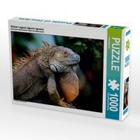 Produktbild: Gr&uuml;ner Leguan (Iguana iguana) (Puzzle)