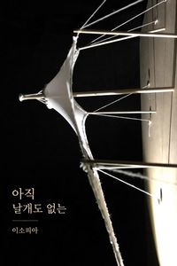 Produktbild: 아직 날개도 없는