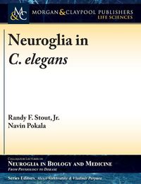 Produktbild: Neuroglia in C. elegans