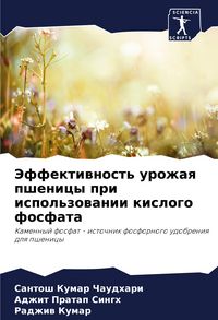 Produktbild: Jeffektiwnost' urozhaq pshenicy pri ispol'zowanii kislogo fosfata