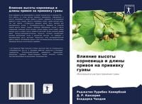 Produktbild: Vliqnie wysoty kornewischa i dliny priwoq na priwiwku guawy