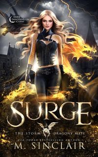Produktbild: Surge